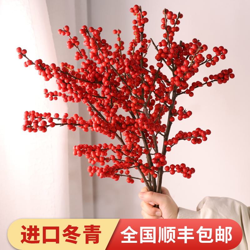 进口北美冬青鲜花富贵籽切枝新鲜红果子年宵花喜庆花束相思豆
