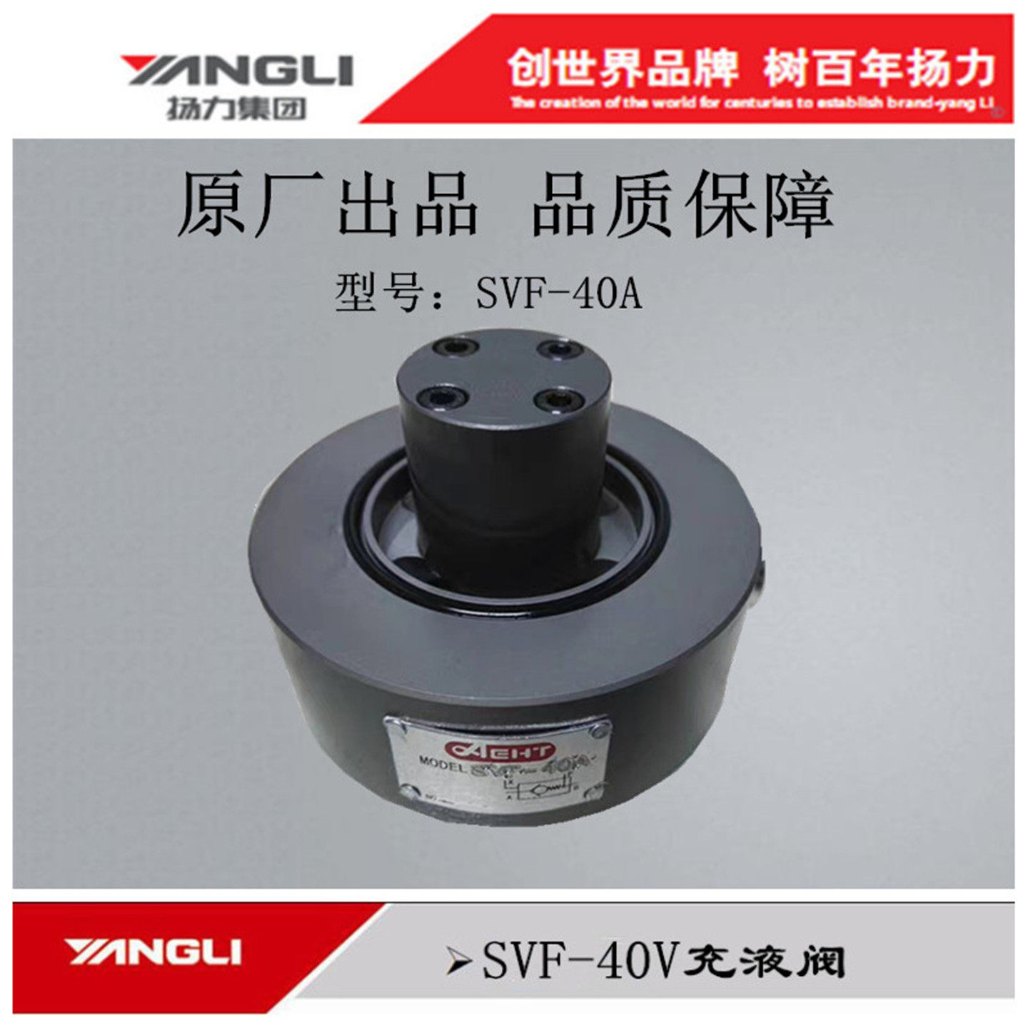 扬力集团YANGLI专用数控折弯机配件高新能SVF-40A调压阀压充液阀