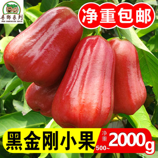 顺丰可选 正宗海南黑金刚莲雾热带水果树熟雾莲低糖多汁净重包邮