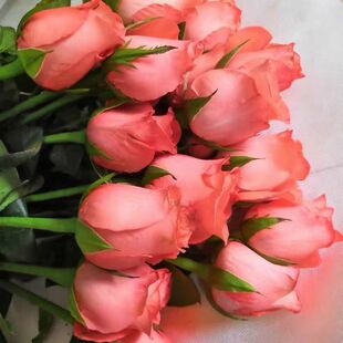 9.9鲜花包邮云南直发向日葵香水百合玫瑰新鲜花束真花基地直批礼