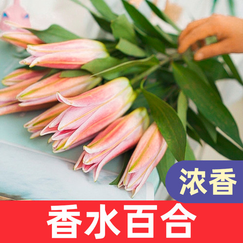 香水百合鲜花云南向日葵洋桔梗