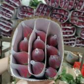 真花玫瑰花云南昆明基地鲜花直家用水养插花花束速递 客厅情人 包邮