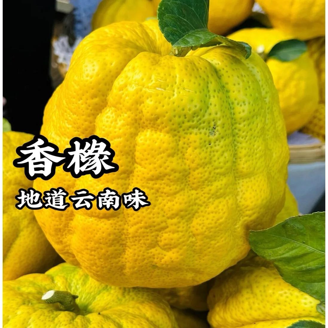 云南香缘香橼新鲜香橼果佛手柑水果农家自种香园非金华1-6斤现摘