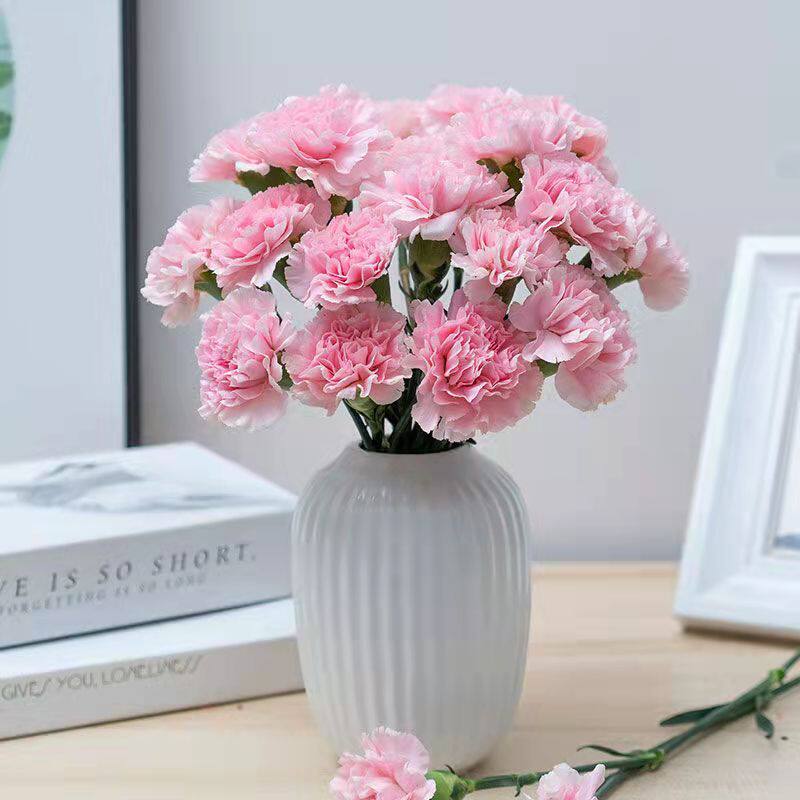 云南康乃馨鲜花冷链基地直发尤加利叶黄莺香水百合家庭生活鲜花洋