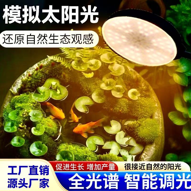 鱼缸水植养护灯全光谱花卉绿植