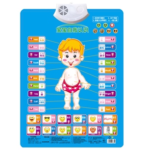 儿童有声挂图汉字偏旁部首笔画笔顺 声母韵母 认数1到100