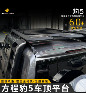 方程豹5改装车顶行李架爬梯