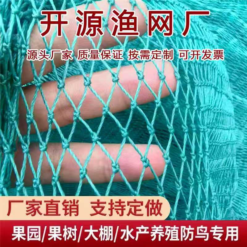 聚乙烯拉网渔网网片有结网鸡鸭围网鱼塘防逃网池塘隔离网防鸟爬藤