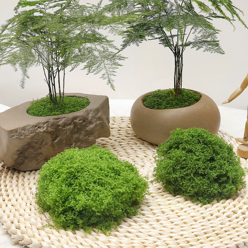 新款 仿真苔藓 人造青苔草坪草皮绿植装饰造景盆景铺面丝状假苔藓