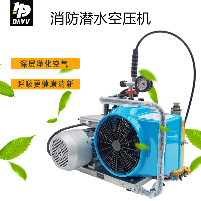 德国宝华33mpa水肺压缩机