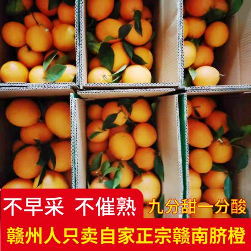 江西正宗赣南脐橙新鲜甜多汁整箱应季孕妇甜橙子水果产地直发橙子