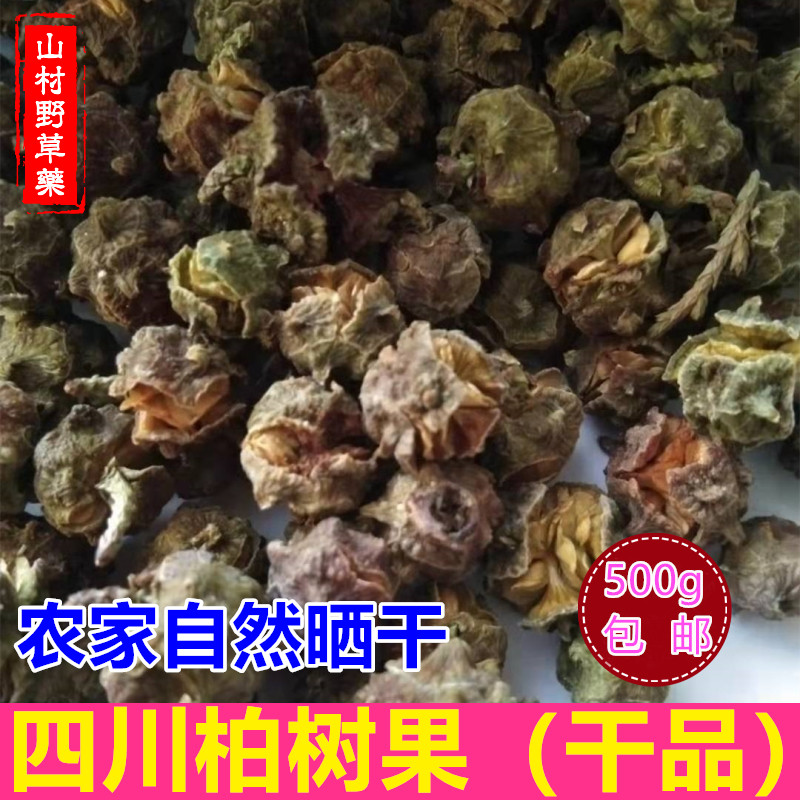 四川柏树果500g包邮 新鲜晒干侧柏籽柏木子柏树籽侧柏果实 中药材