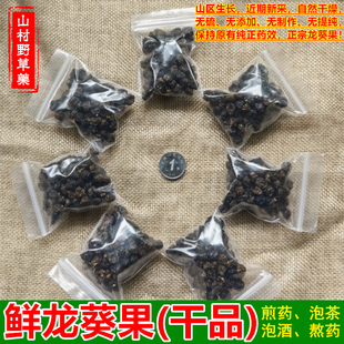 熬药鲜龙葵果10g包邮 近期干货龙葵子 煎药泡酒泡茶水咳嗽 中药材