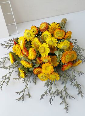 diy小雏菊网红装饰摆件拍摄干花