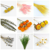 ins网红装 饰天然勿忘我棉花麦穗干花花束家居摆设小清新拍摄道具