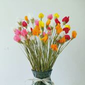 ins网红装 饰摆件一品红小束干花家居客厅插花文艺小清新拍摄道具