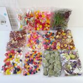 天然真花风干小雏菊花瓶相框装 饰幼儿园Diy手工干花材料拍摄道具