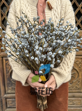 尤加利果干花花束家居装饰摆件北欧风复古场景装扮拍照插花桉树果