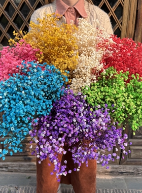 永生满天星超大干花花束