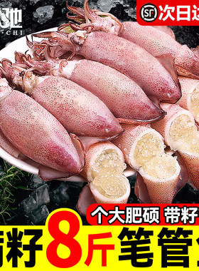 海兔子满籽鲜活笔管鱼海鲜新鲜全籽籽乌冷冻墨鱼仔乌贼小鱿鱼水产