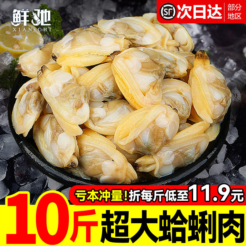 鲜剥蛤蜊肉！当季现货！超实惠！图片