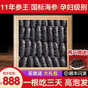 11年淡干海参国标干货500g特价深海野生辽宁刺海渗叁礼大连瓦房店