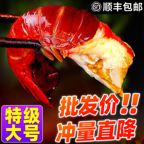 抢69元3斤！特级超大龙虾尾
