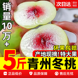 正宗冬桃青州蜜桃新鲜水果山东桃子脆桃应季整箱鲜果金秋脆甜现发