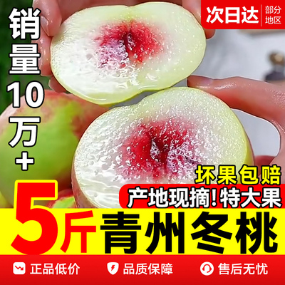 现摘冬桃青州蜜桃5斤！百万复购