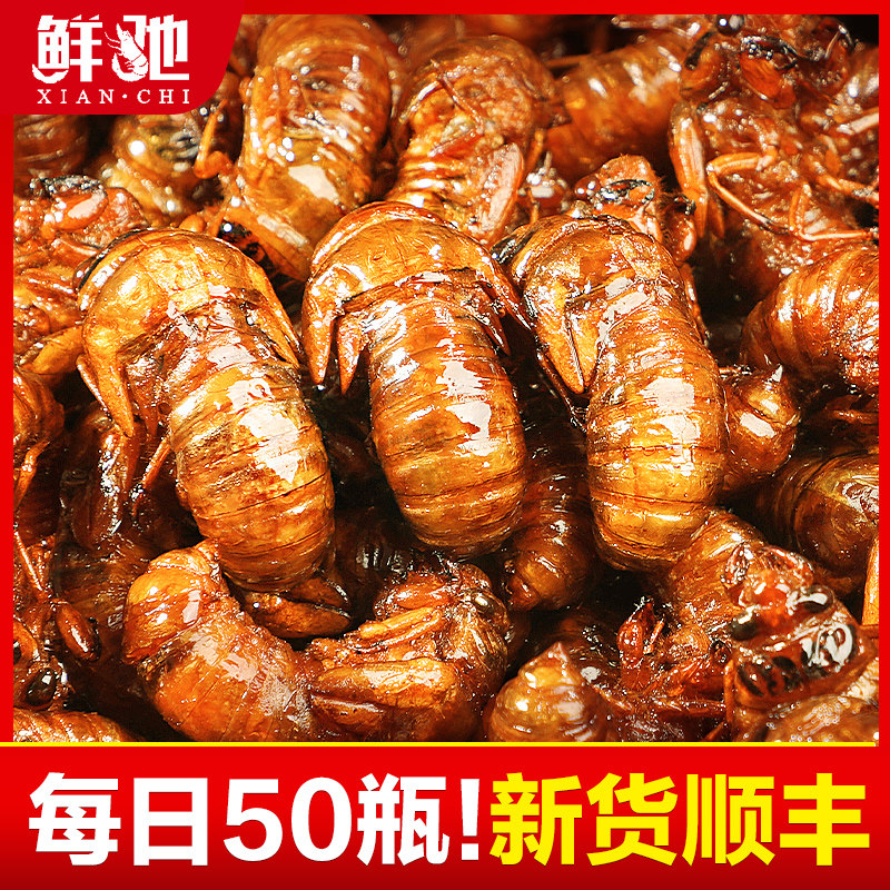 鲜驰 知了猴金蝉活新鲜蝉蛹100只活体速冻爬蚱活物爬叉金包银蝉虫