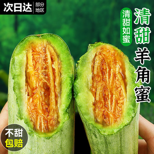 山东羊角蜜甜瓜水果香瓜应当季新鲜整箱9哈蜜瓜老式密瓜包邮博洋9