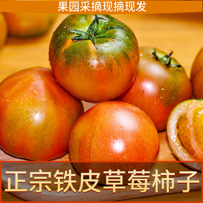 铁皮柿子小时候的味道！