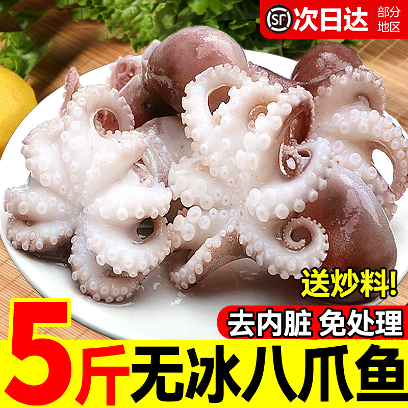 鲜活长腿冷冻即食网红爆头八爪鱼