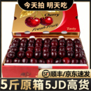 智利车厘子原装 整箱孕妇水果5J 进口桑提娜新鲜吉制樱桃奥数应当季