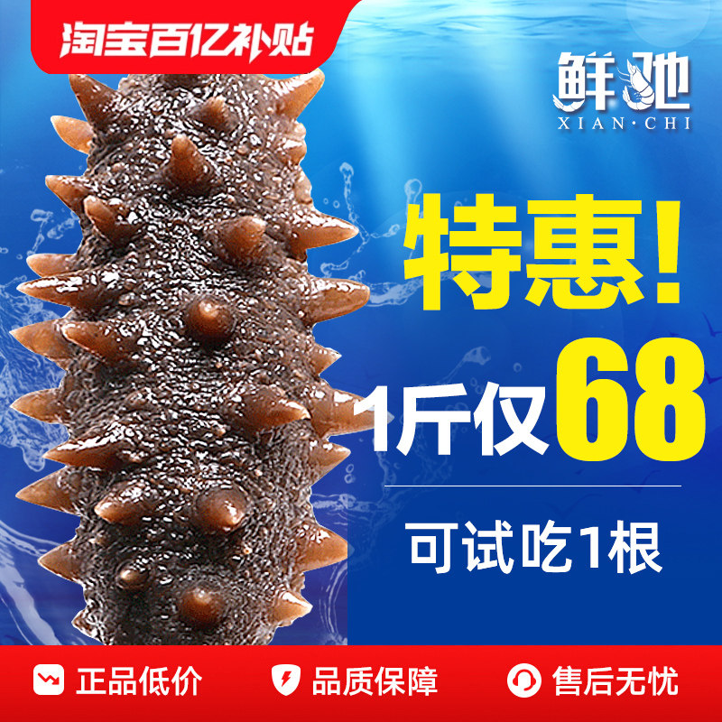 海参即食刺鲜活淡干海渗辽宁大连瓦房店干货野生海生500g特价装袋