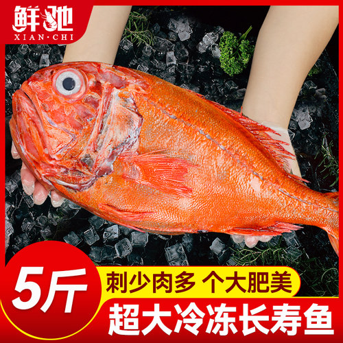 新西兰鲜捕深海长寿鱼体肥个大