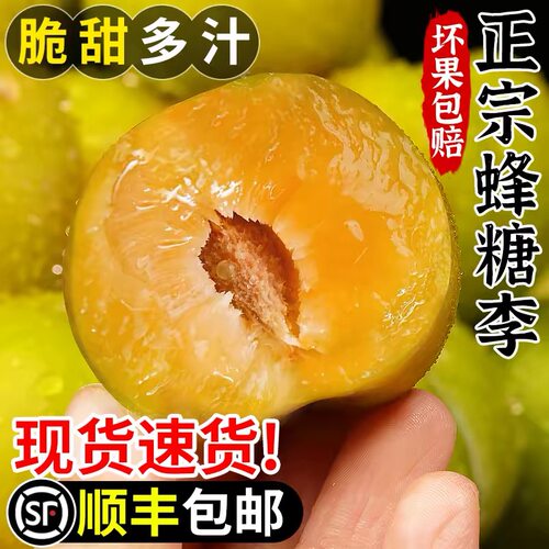 正宗贵州六马蜂糖李！！！