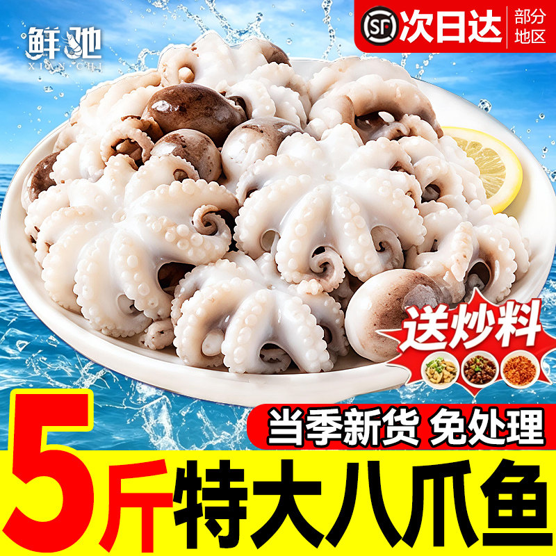 鲜驰新品上市!万级回购!限时优惠