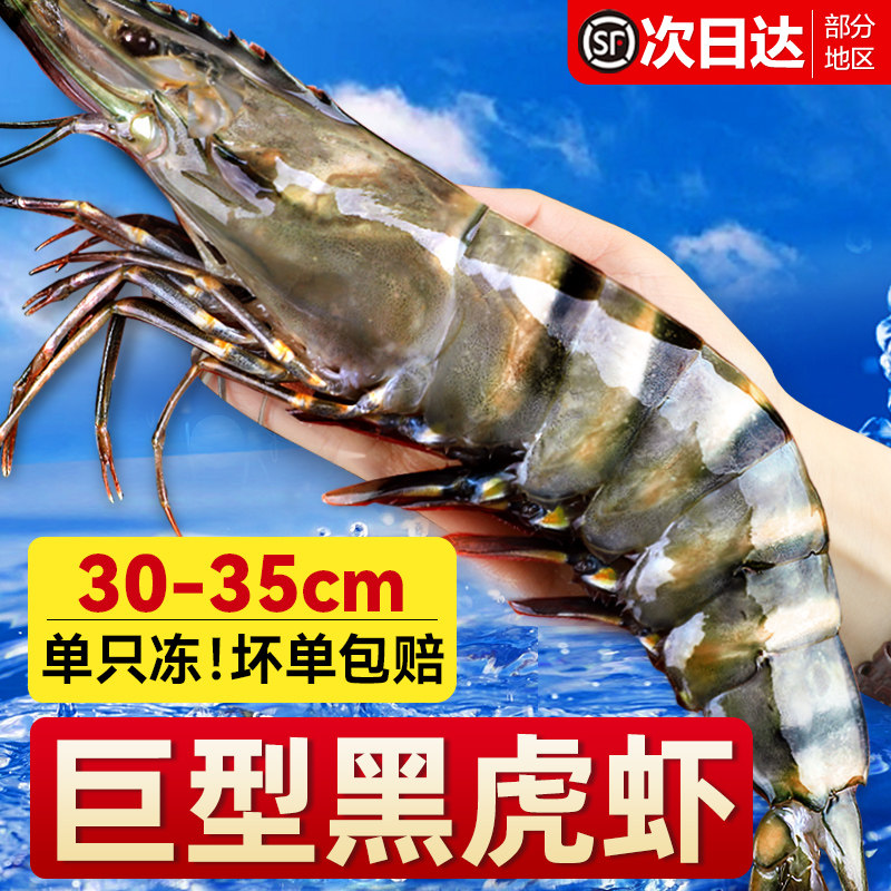 万人抢购！特大黑虎虾新鲜整只图片