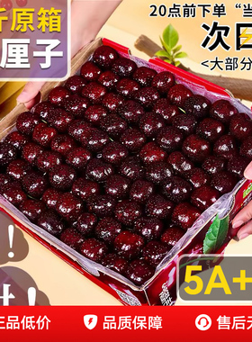 智利车厘子新鲜水果原箱桑提娜3J4J5J礼盒装当季整箱孕妇吉制樱桃