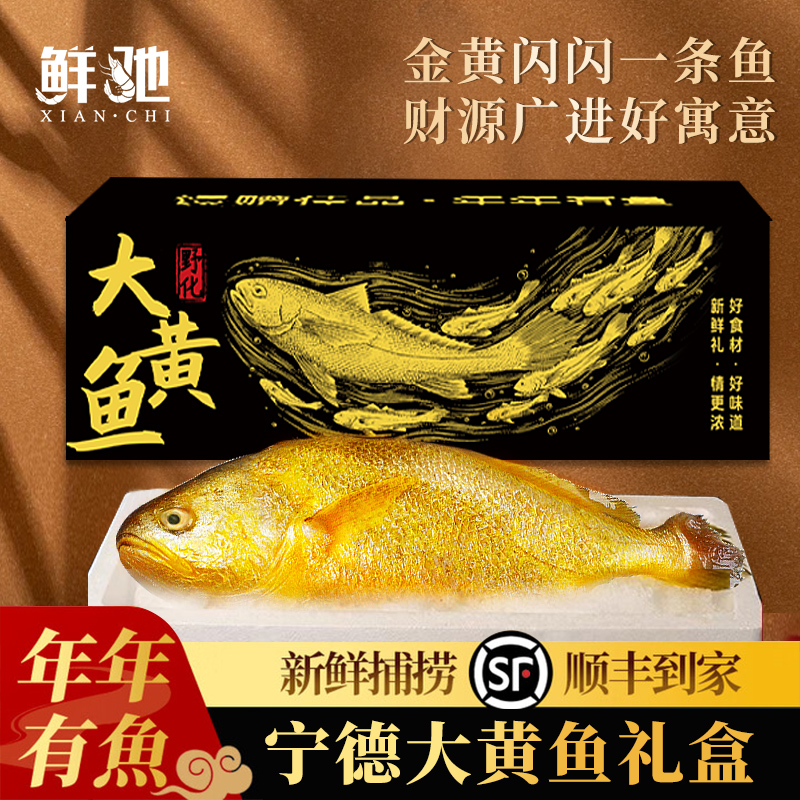 宁德大黄鱼礼盒装深海小黄花鱼鲜活冷冻生鲜海鲜海鱼新鲜水产商用
