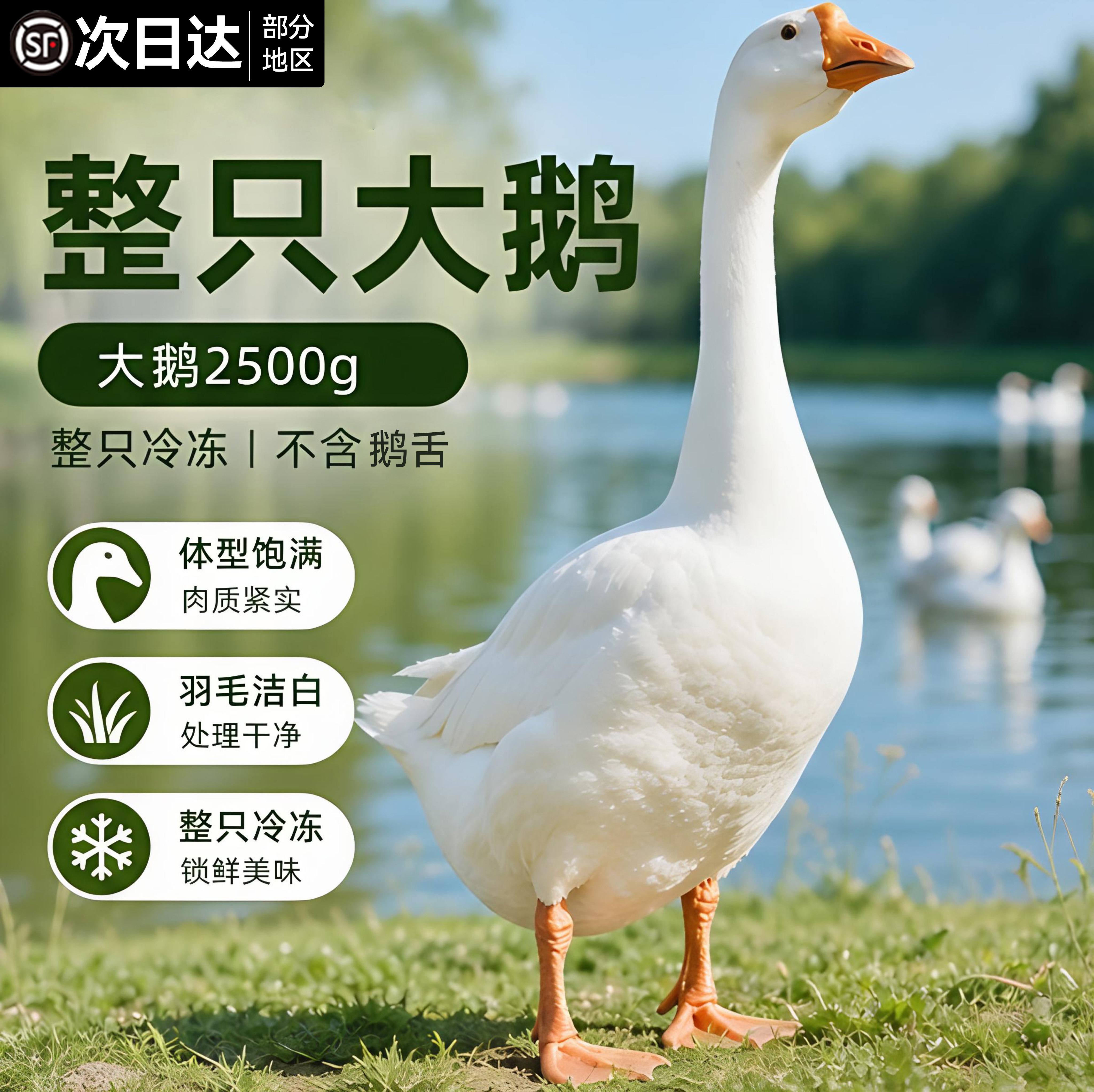 亏本冲量！整只大鹅鹅肉新鲜冷冻