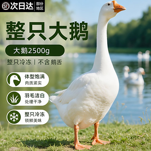 亏本冲量！整只大鹅鹅肉新鲜冷冻