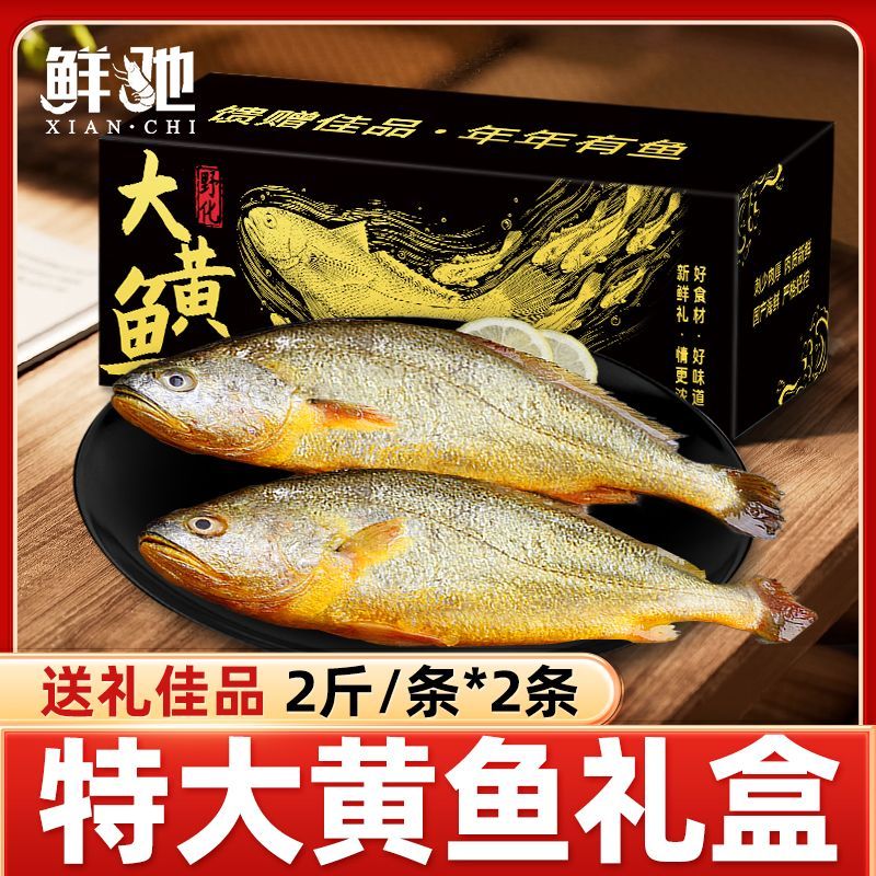 鲜驰特大黄花鱼正宗新鲜冷冻鱼类礼盒深海整条黄鱼国产海鲜