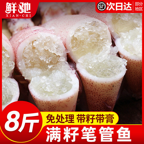 海兔子满籽笔管鱼新鲜海鲜水产