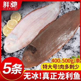 特大新鲜龙利鱼舌头鱼冷冻舌鳎鱼玉秃鱼商用鱼排海鲜水产非巴沙鱼