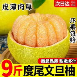 度尾文旦柚无虾线柚子正宗红白心蜜柚葡萄柚当季应季新鲜水果整箱