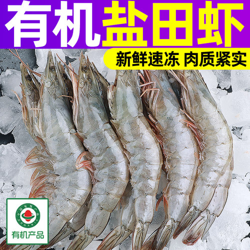 鲜驰盐田虾气冻大虾有机认证新鲜速冻国产青虾白虾基围虾p