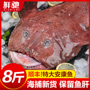 安康鱼新鲜蛤蟆鱼魔鬼鱼刺深海特大鲜活鱼肝鱼肚海鲜水产冷冻