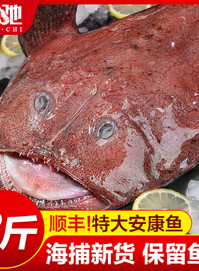 安康鱼新鲜蛤蟆鱼魔鬼鱼刺深海特大鲜活鱼肝鱼肚海鲜水产冷冻